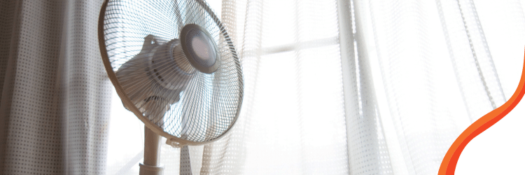 Cómo mantener fresca tu casa durante la época de calor 2